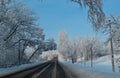 Magic trees covered with snow christmas night snowfall. Road for fairy lapland in sunny day. Romantic travel to winter