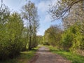 Magic trees and paths in the forest and meadow. Royalty Free Stock Photo