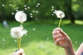 Magic unseen dandelion blow.