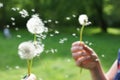 Magic unseen dandelion blow.