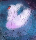 Watercolor swan with magic night and shining stars