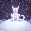 Magic white winter cat. Digital illustration.