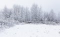 Magic white frozen winter in the forest. Lithuania, Eu