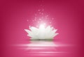 Magic White Lotus flower on pink background Royalty Free Stock Photo