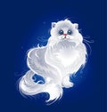 Magic white Persian cat Royalty Free Stock Photo