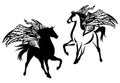 magic winged pegasus horse black and white vector silhouette and outline Royalty Free Stock Photo