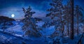 Magic winter night in a snowy sea coast surrounded by covered in snow fir trees with full moon in a starry sky. View of forest Royalty Free Stock Photo