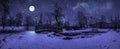 Magic winter night with starry sky and full moon in snowy park with beautiful bridge over small pond, street light and covered in