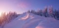 Magic Winter Sunset. Wonderful Wintry Landscape in Alpine Highlands under sunlight at sunrise, Snowcovered pine trees glowing in