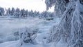 Magic winter waterfall Storforsen in winter Royalty Free Stock Photo