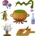 Magic witch set. Poison mushrooms, snake, lizards, cauldron, bottle, knife, sphere. Isolated vector objects on white background