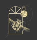 Magic witchcraft window silhouette with Flower chafer beetle and full moon like light bulb.