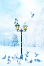 Magic yellow lantern and birds in a fabulous winter city park. Winter city landscape. Christmas background.