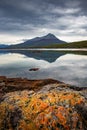 Magical austral Magellanic subpolar forests and turquoise lagoons in Tierra del Fuego National Park, Beagle Channel, Patagonia,