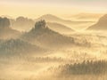 Magical autumn forest with sun rays in morning