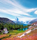 Magical beautiful autumn landscape with fir trees near lake on background Matterhorn in the Swiss Alps, near Zermatt, Switzerland