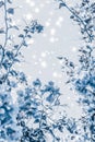 Christmas, New Years blue floral nature background, holiday card design, flower tree and snow glitter as winter season sale Royalty Free Stock Photo