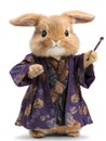 A magical bunny in robes the enchanted tale of a wizardly rabbit ready for adventure. Royalty Free Stock Photo