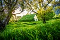 Magical charming beautiful landscape with turf roof church in old Iceland traditional style and mystical cemetery in Hof,