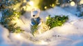 Magical Christmas decorations. A rat in a fur coat and with a Christmas tree in his hands Royalty Free Stock Photo