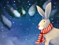 Magical christmas fairy card. forest at night and a hare or rabbit in a scarf under the snow. fabulous picture Royalty Free Stock Photo