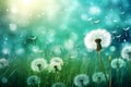 Magical Dandelion Dreams: A Stunning Snapshot of Floating Seeds