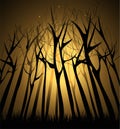 magical Dark forest