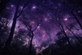 magical dark purple forest with starry night sky, surrounded by twinkling stars Royalty Free Stock Photo