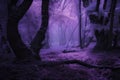 magical dark purple forest with undiscovered secret hiding place