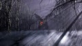 A magical dragon in a dark mystical misty forest. A fairy-tale scary forest with tall trees in a thick fog. 3D Rendering