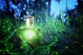 Magical fairy dust potion in bottle in the forest. Royalty Free Stock Photo