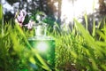 Magical fairy dust potion in bottle in the forest. Royalty Free Stock Photo