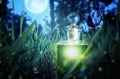 Magical fairy dust potion in bottle in the forest. Royalty Free Stock Photo