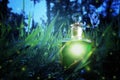 Magical fairy dust potion in bottle in the forest. Royalty Free Stock Photo