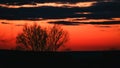 magical fiery, bright, orange-red sunset in a photo of nature