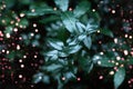 Magical forest. Green leaves with lights. Dark emerald color