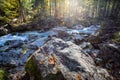 Magical Forest at Lake Hintersee with Creek Ramsauer Ache - HDR image. National Park Berchtesgadener Land, Germany Royalty Free Stock Photo