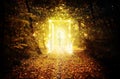 Magical glowing door in the enchanted forest Royalty Free Stock Photo
