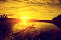 Magical golden sunrise over the lake