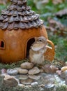 Chipmunk with cute expression in a gourd house