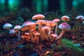 Magical hallucinogenic mushrooms glowing in dark forest at night. Generative AI
