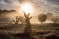 Misty Richmond Park with early morning sun rays. Royalty Free Stock Photo