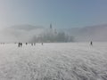 Magical lake Bled winter fairyland island church slovenia Royalty Free Stock Photo