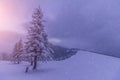 Magical landscape of mountains in winter. Fantastic morning glowing by sunlight. View of snow-covered forest trees. Background of Royalty Free Stock Photo