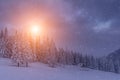 Magical landscape of mountains in winter. Fantastic morning glowing by sunlight. View of snow-covered forest trees. Background of