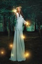 Magical lights in fairy forest Royalty Free Stock Photo