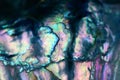 Magical mermaid scales - macro iridescent abalone shell horizontal