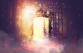 Magical glowing light in the enchanted forest, mirror like a portal, spirit world Royalty Free Stock Photo