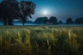 magical moonlit night with a harvest moon casting its glow on the fields