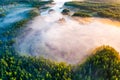 Magical morning in green forest, aerial landscape. Fog over trees Royalty Free Stock Photo